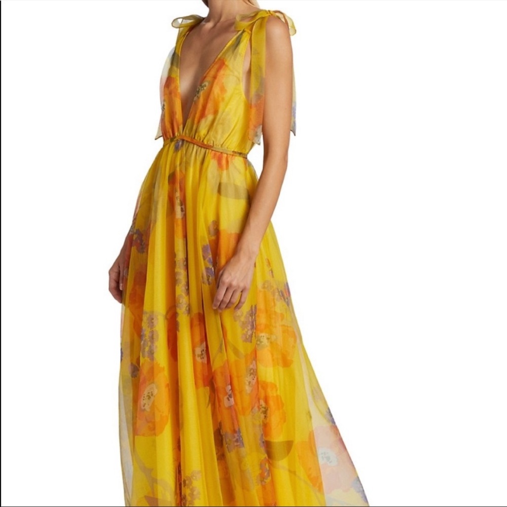 Staud Dandelion Chiffon Maxi Dress - Worn Once!